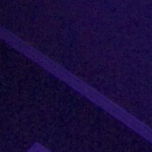 Meet your Posher, Ronny